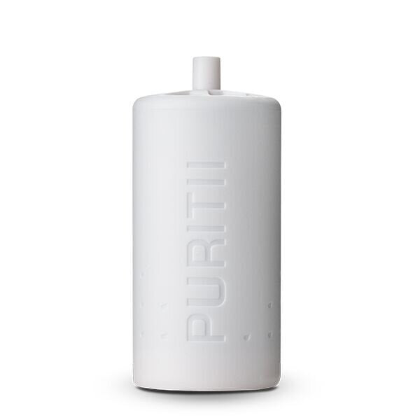 Puritii replacement filter